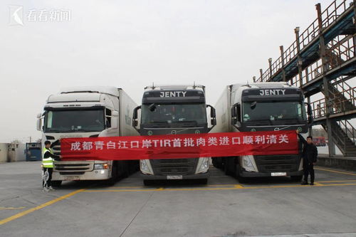 一紙標(biāo)識通四方 探秘公路貨運跨境直達(dá)的“通行證”